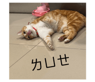 839734815