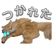 839734913