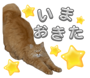 839734917