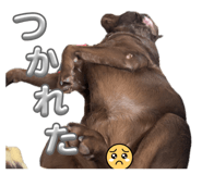839735586