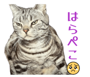 839735589