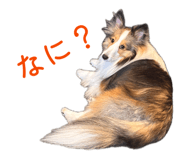 839735670
