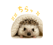 839736256