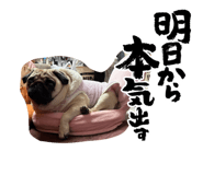 839736401
