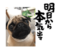 839736406