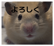 839736697