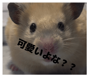 839736698