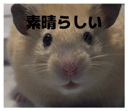 839736700