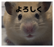 839736701