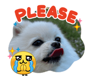 839737068
