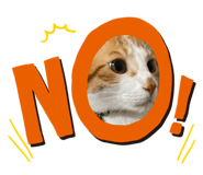 839737097