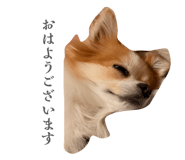 839737193