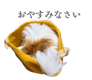 839737194