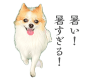 839737212