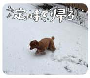 839737344