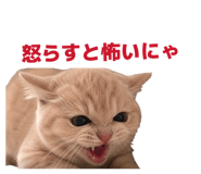 839737907