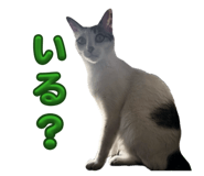 839738762