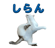 839738767