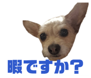 839739113