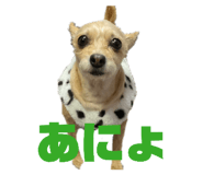 839739117