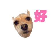 839739120