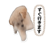 839739168