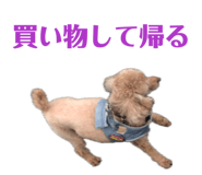839740028