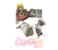839740050