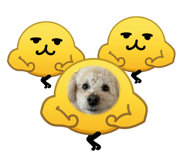 839740463