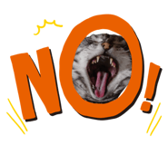839740883