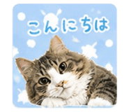 839742122