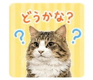 839742135