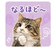 839742136