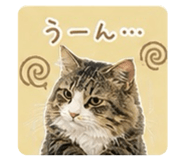 839742153