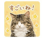 839742154