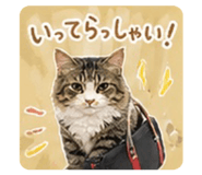 839742159