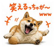 839742165