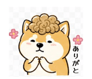 839742291
