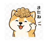 839742293