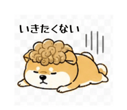 839742302