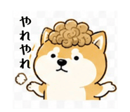 839742309