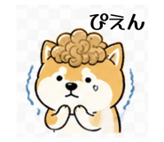 839742311