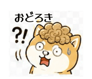 839742315