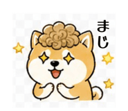 839742317