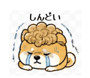 839742323