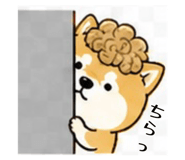 839742328