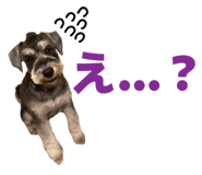 839742376
