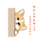 839742564