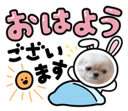 839743031
