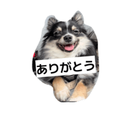 839743036